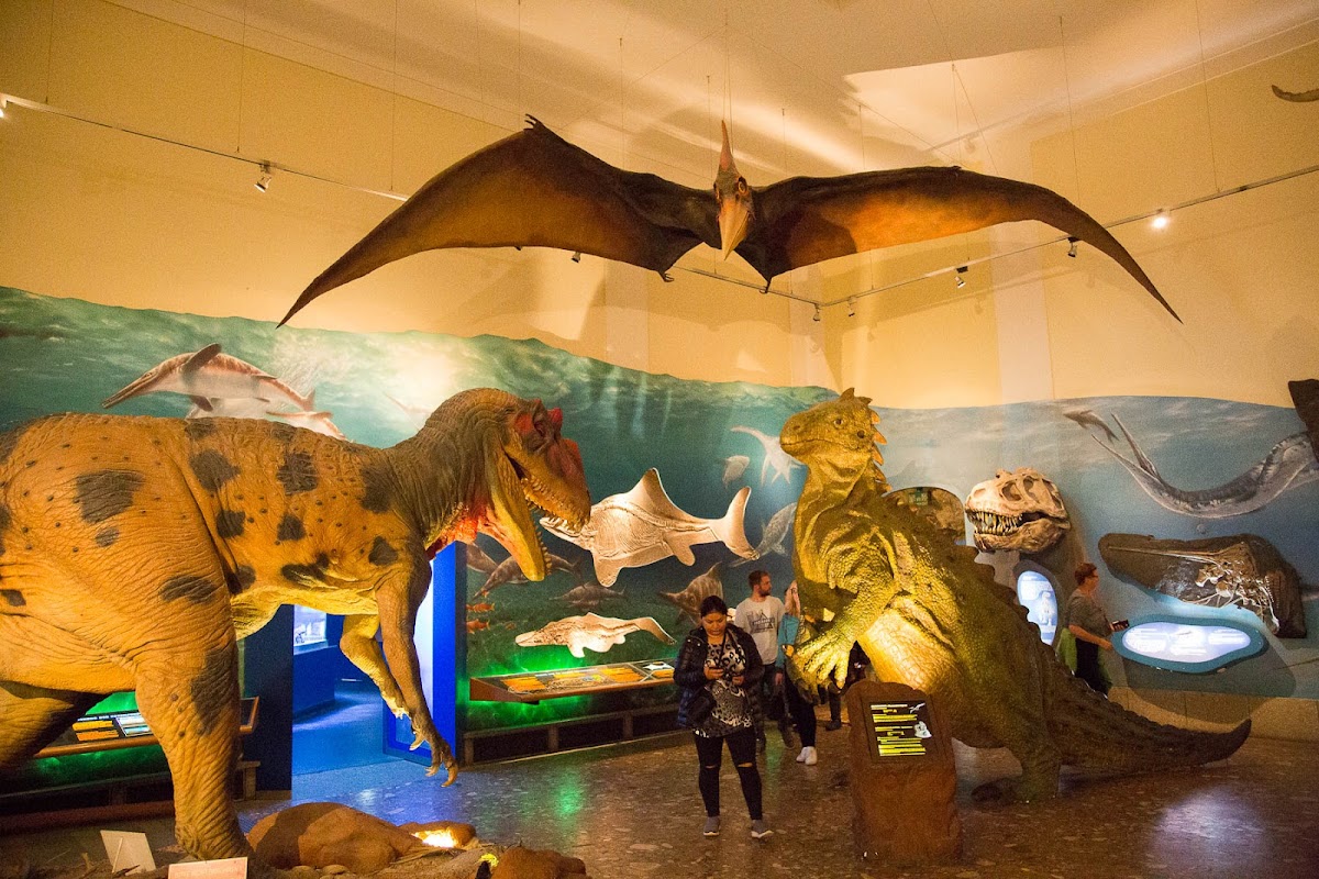 Photo of Haus der Natur