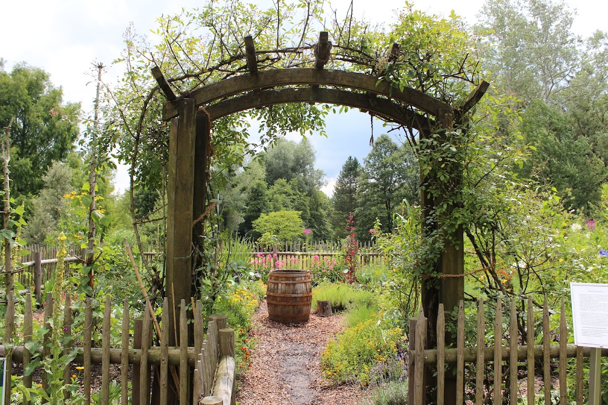 Photo of Botanischer Garten der Universität Salzburg