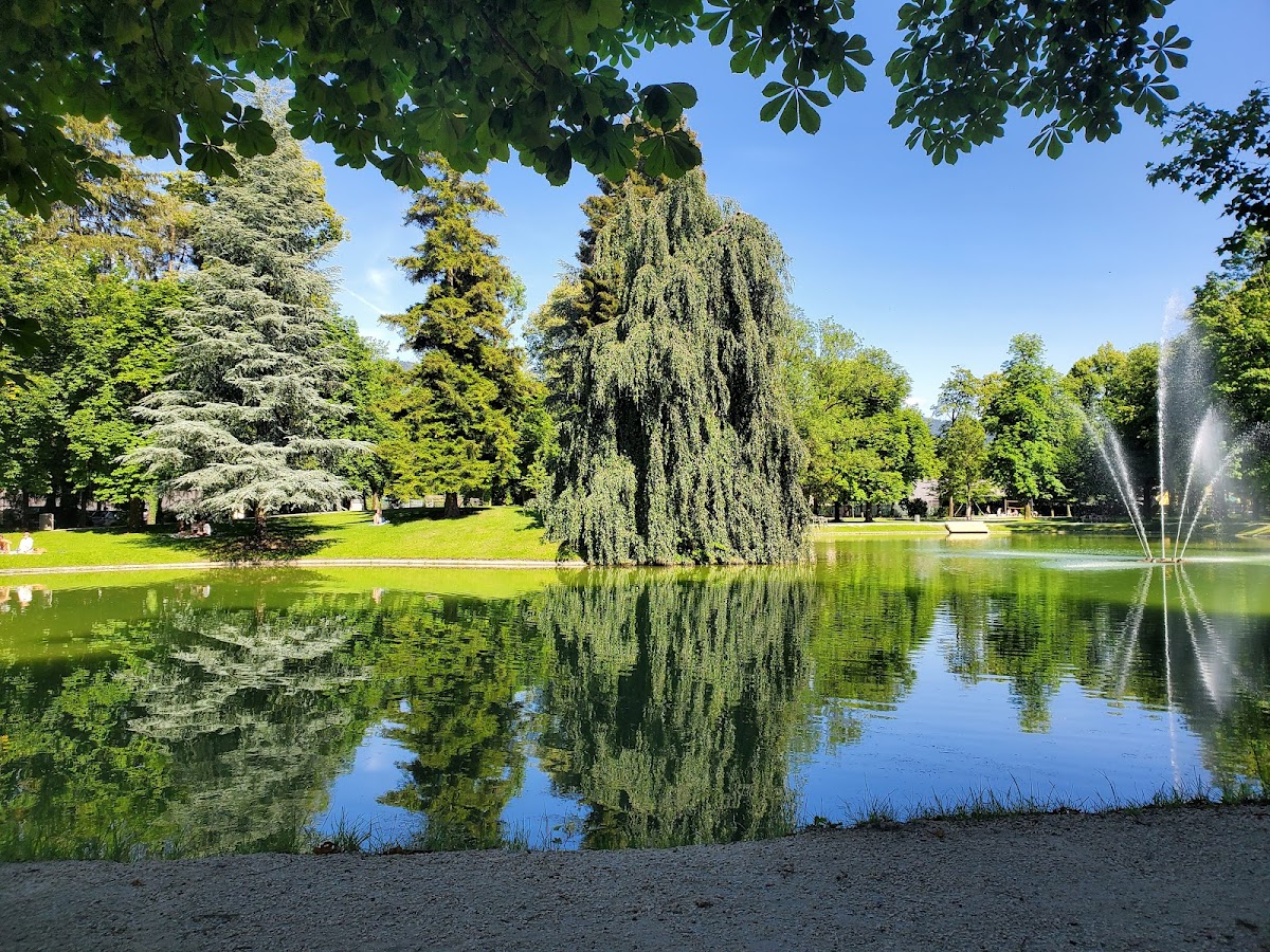 Photo of Volksgarten