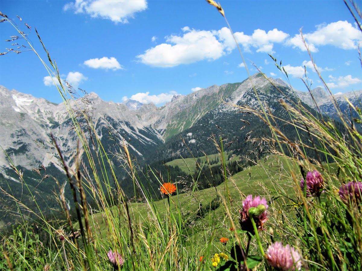 Photo of Weissbach Nature Park