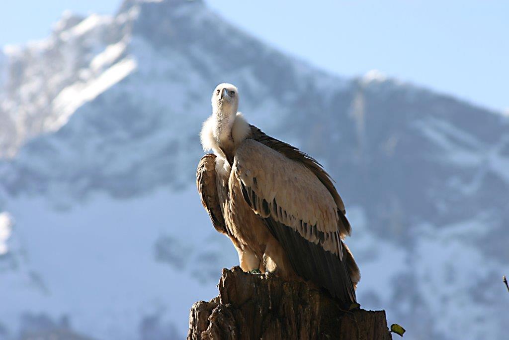 Photo of Salzburg Zoo