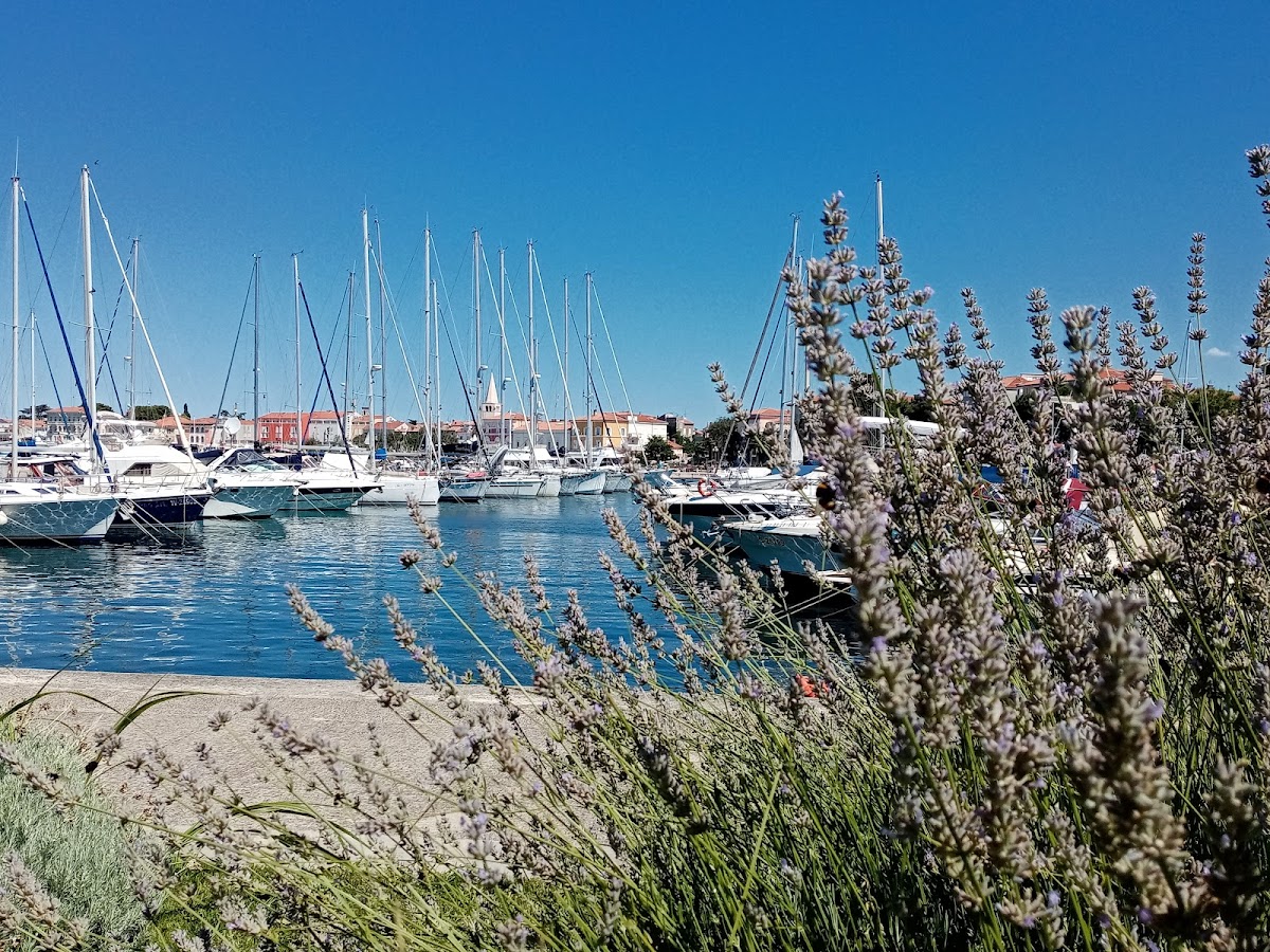 Photo of Porec Marina Promenade