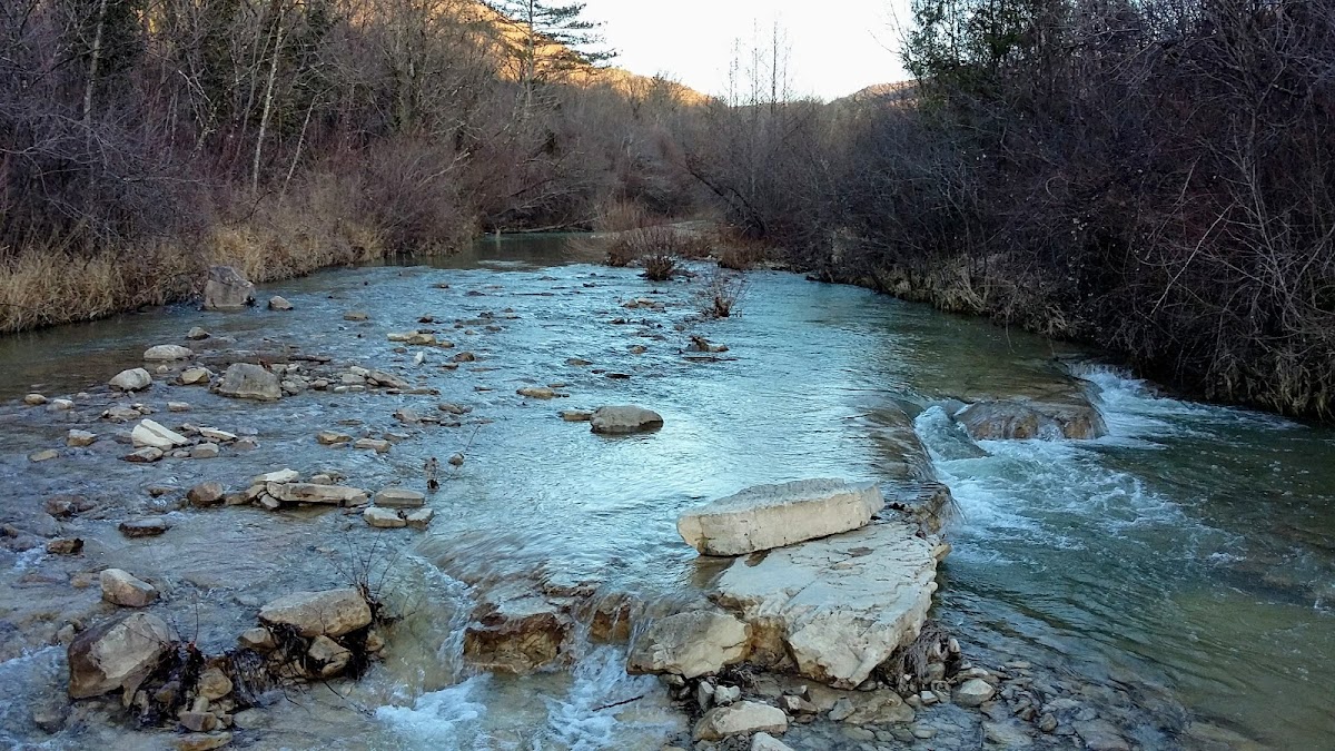 Photo of Dragonja River