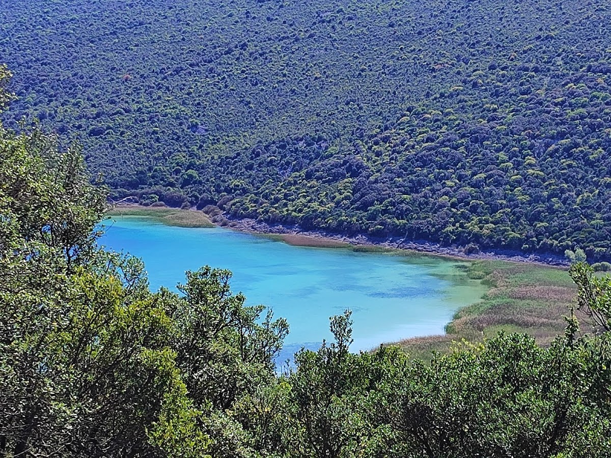 Photo of Lake Vrana