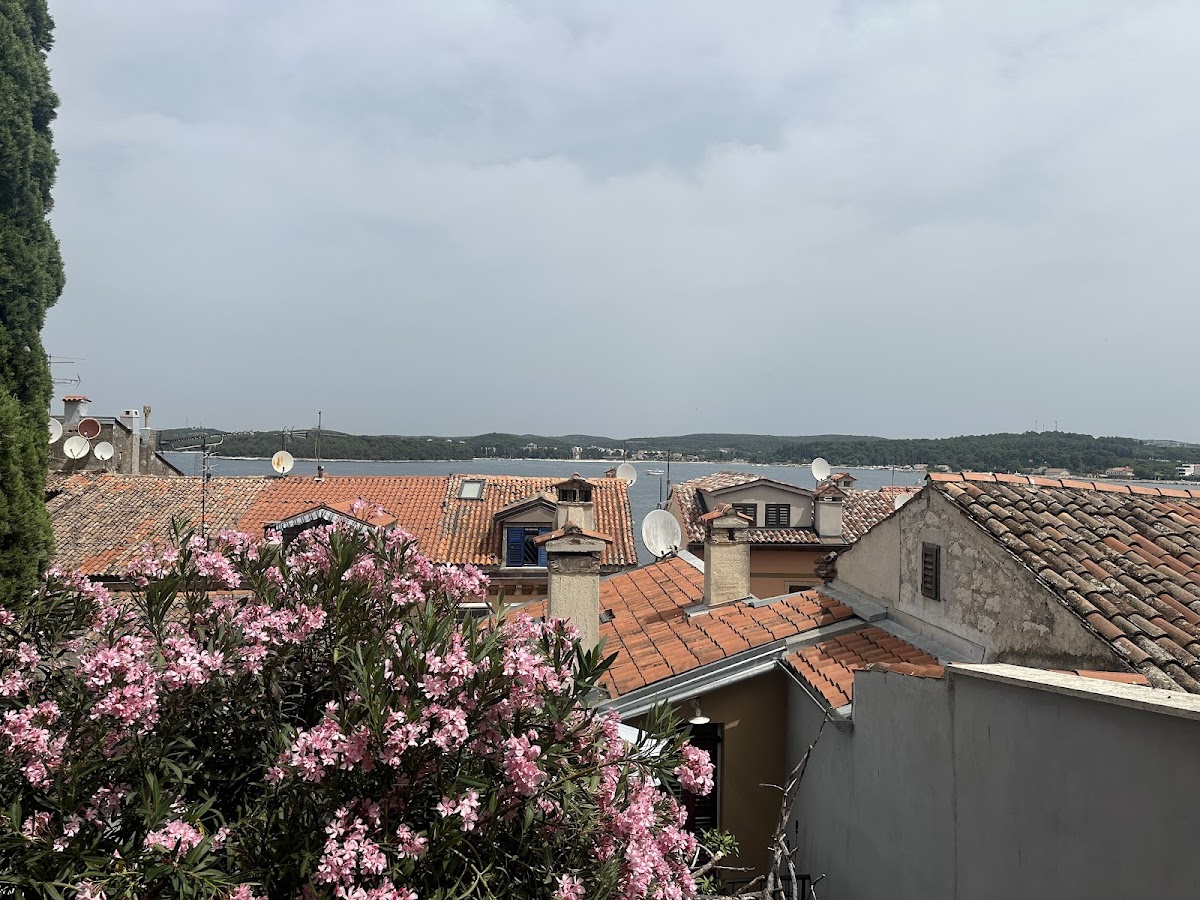 Photo of Hotel Vila Orh
