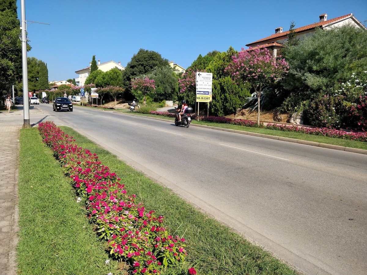 Photo of Roundabout Hostel