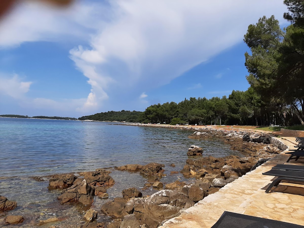 Photo of Cuvi Beach