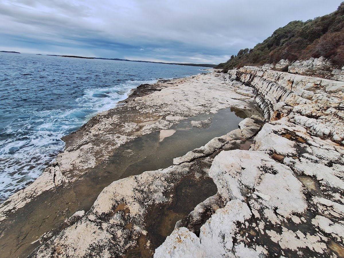 Photo of Dragonja River