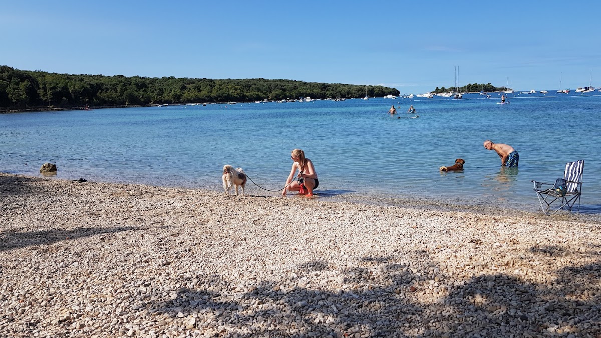 Photo of Vestar Beach