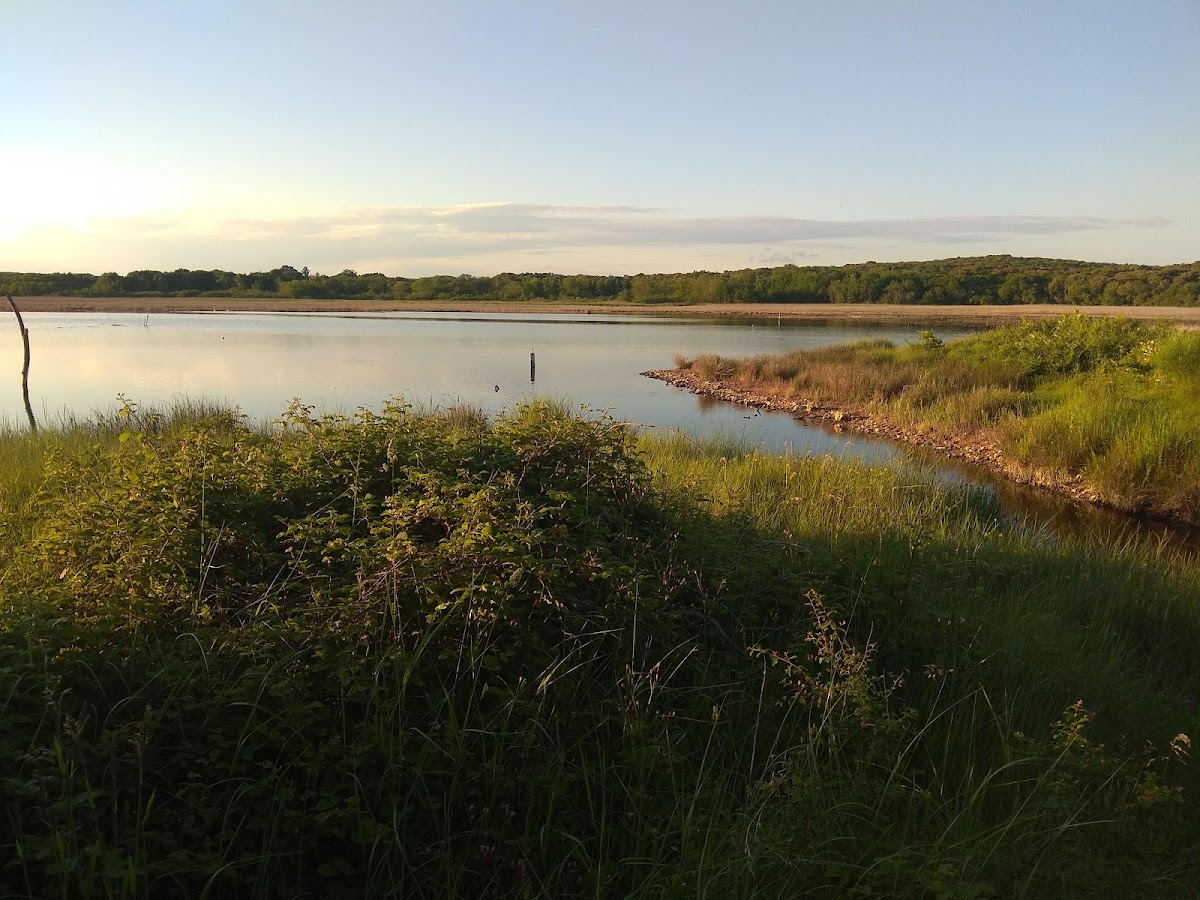 Photo of Park Palud