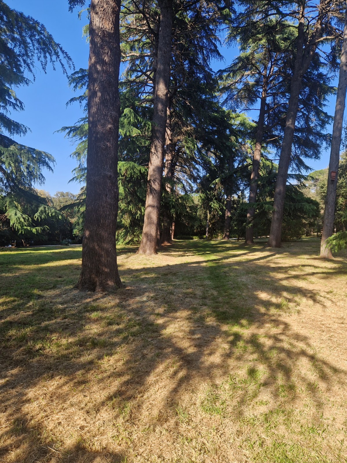 Photo of Punta Corrente Beach Trail