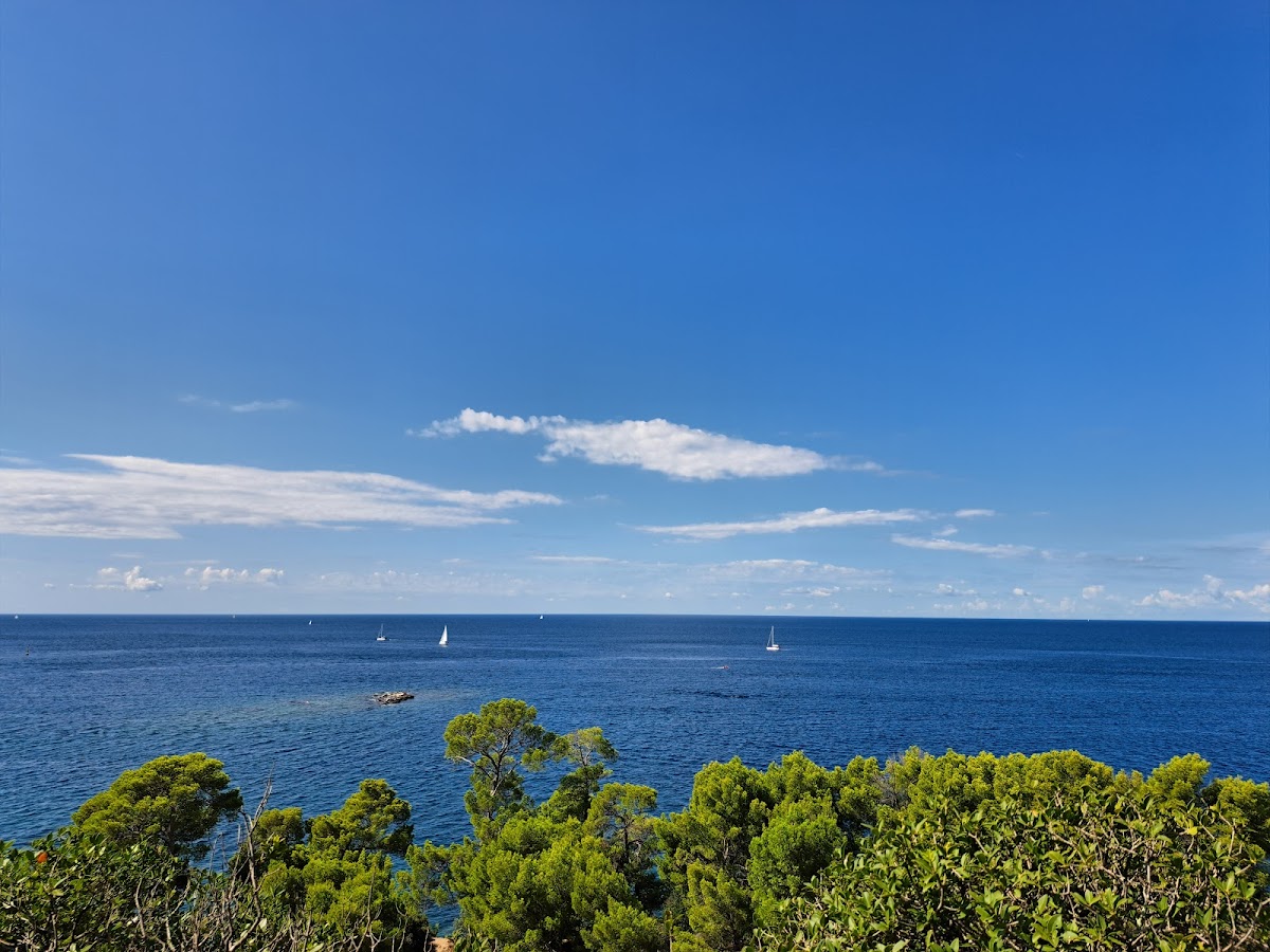 Photo of Golden Cape Forest Park (Zlatni Rt)