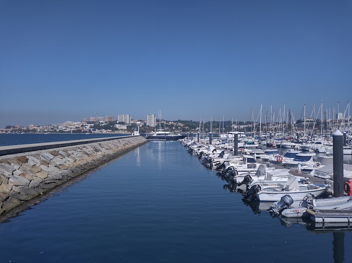 Photo of Douro Marina