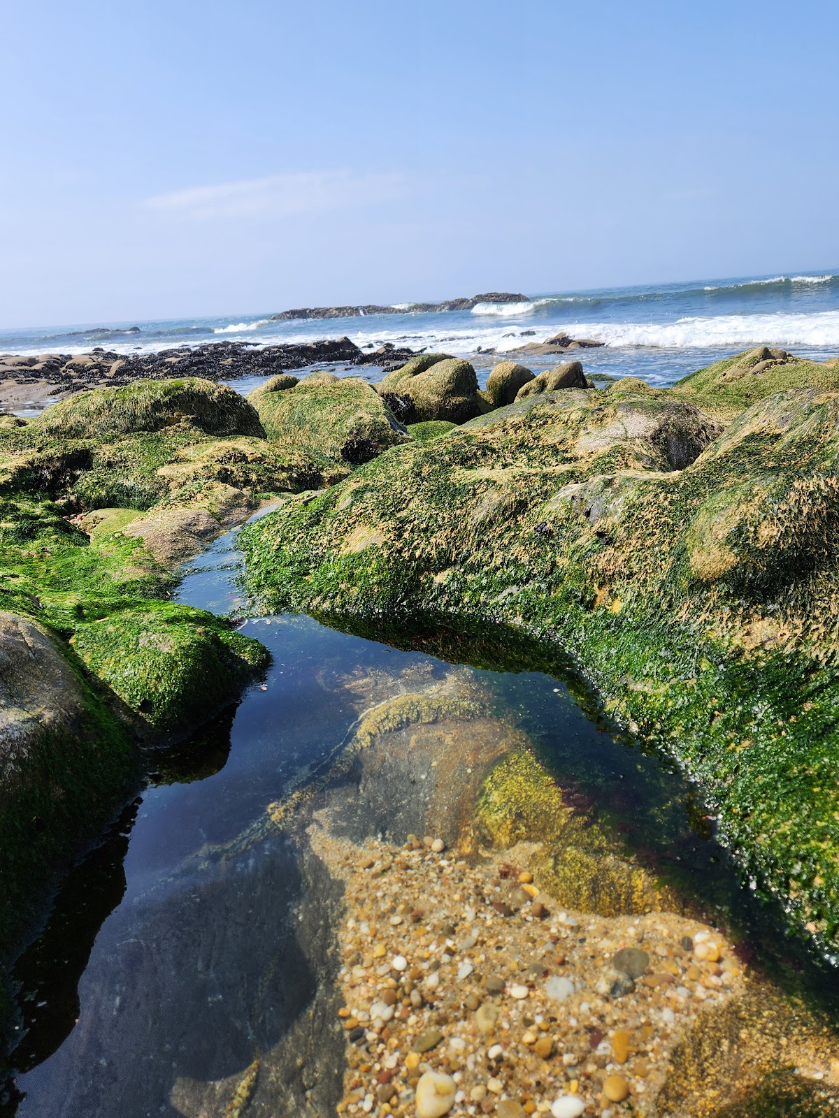 Photo of Praia da Madalena