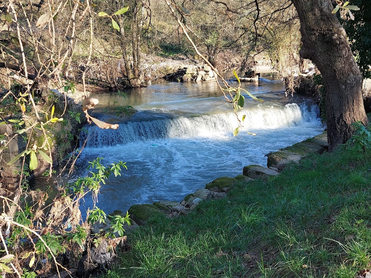 Photo of Rio Leça