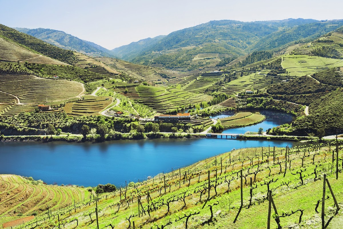 Photo of Porto Wine Cruise